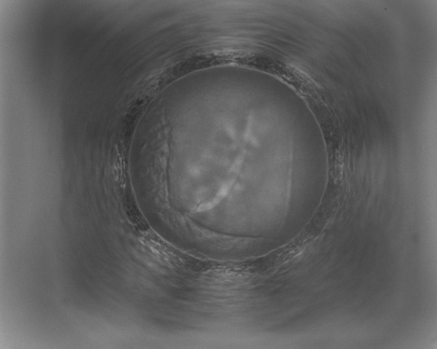 X0000071780917200607071426