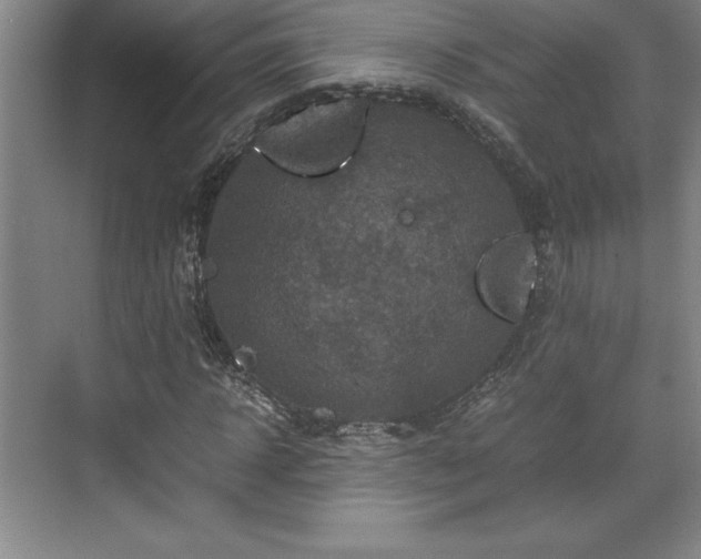 X0000071780918200607071426