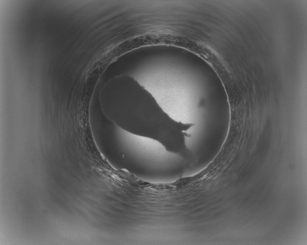 X0000071780919200607071426