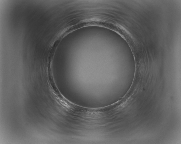 X0000071780921200607071426