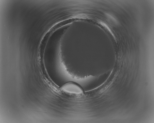 X0000071780923200607071426