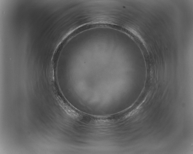 X0000071780925200607071426