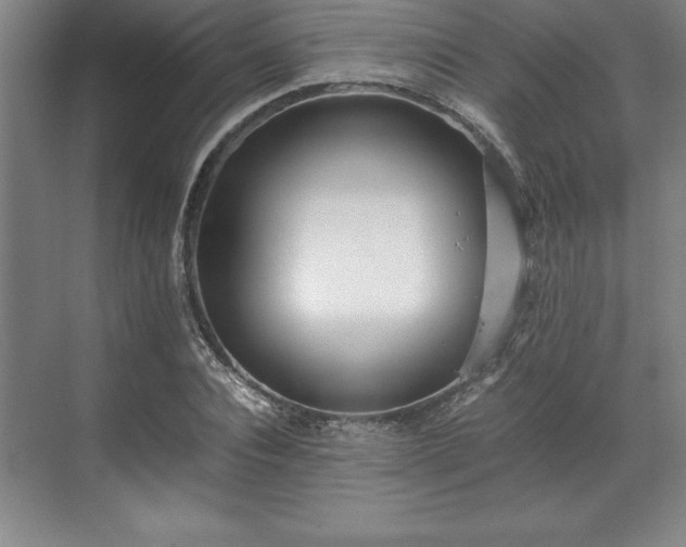 X0000071780928200607071426