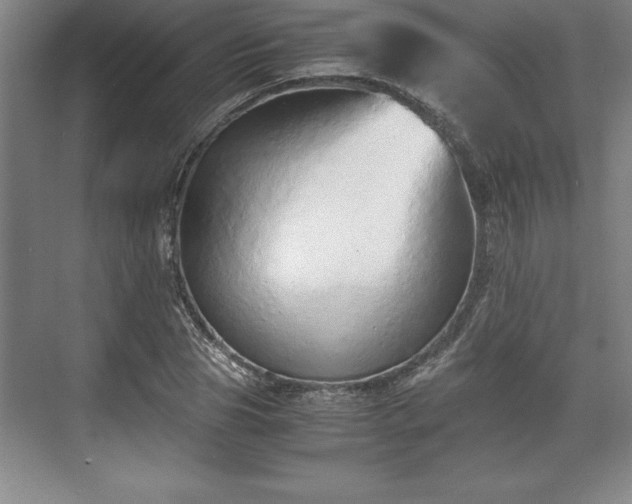 X0000071780929200607071426