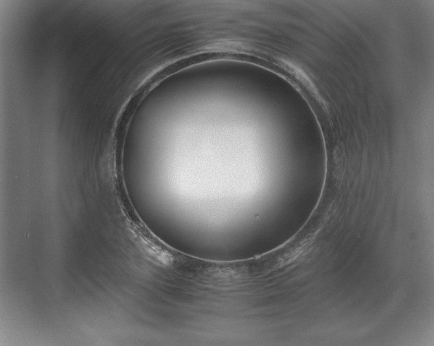 X0000071780931200607071426