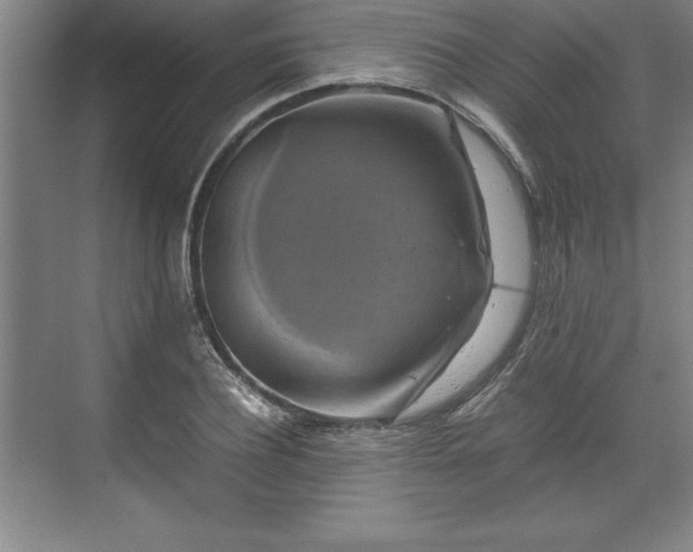 X0000071780932200607071426