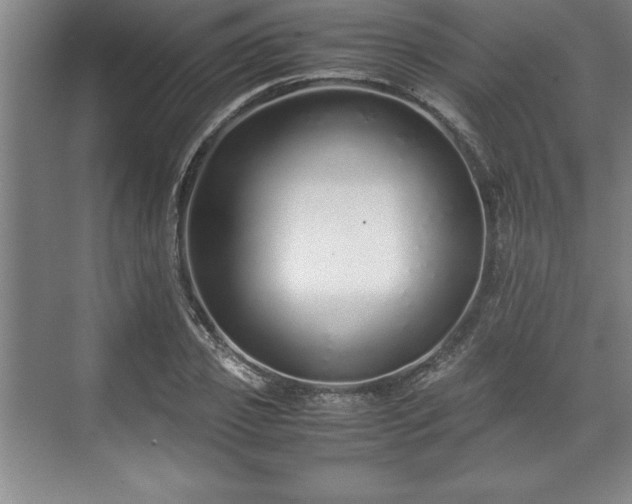 X0000071780933200607071426