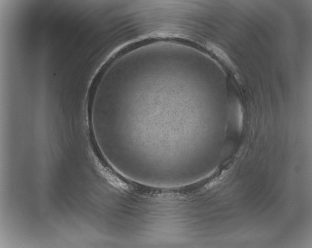 X0000071780934200607071426