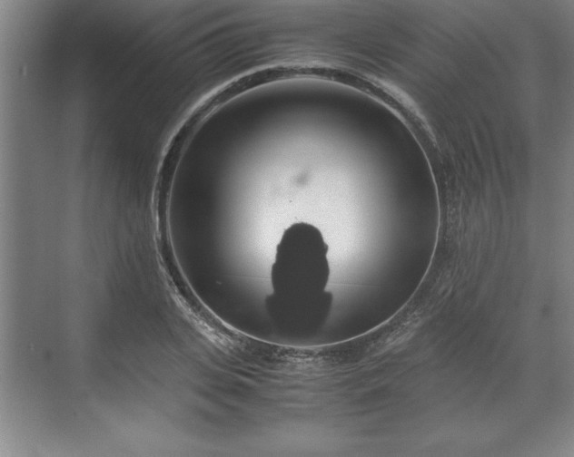 X0000071780935200607071426