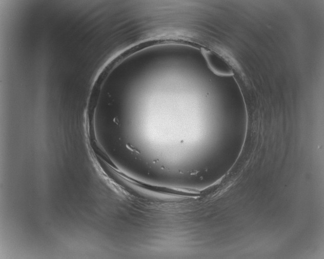 X0000071780936200607071426