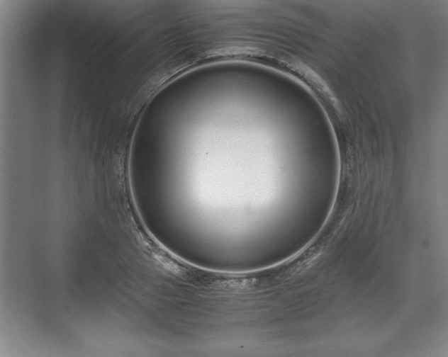 X0000071780937200607071426