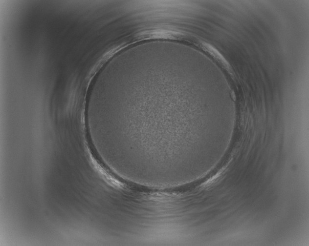 X0000071780938200607071426