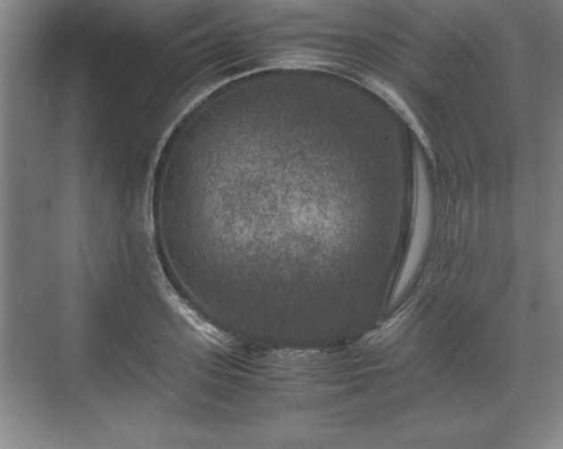 X0000071780939200607071426