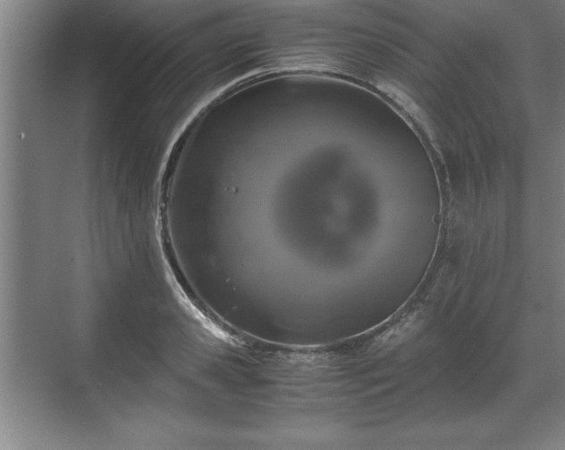 X0000071780941200607071426