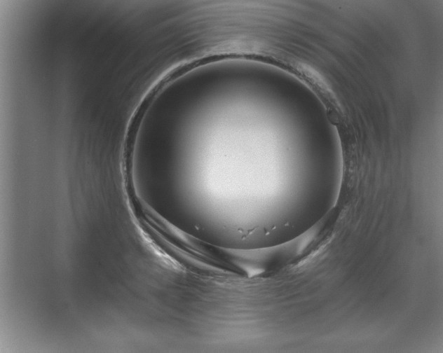 X0000071780942200607071426