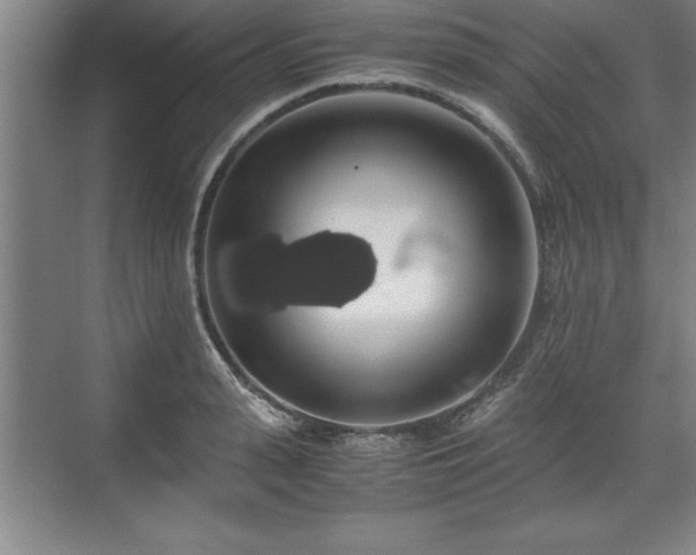 X0000071780943200607071426