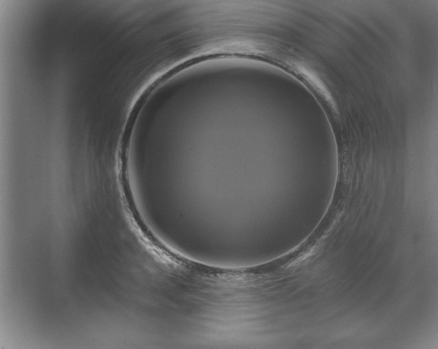 X0000071780944200607071426