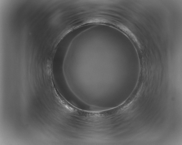 X0000071780945200607071426