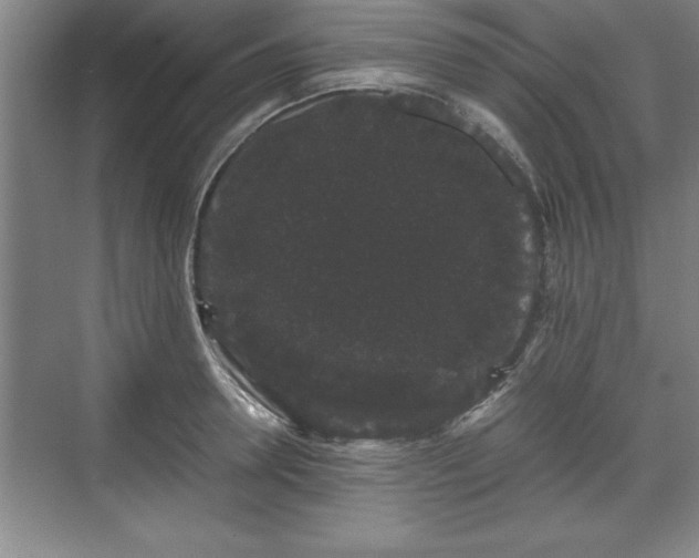 X0000071780946200607071426