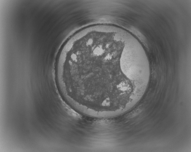 X0000071780950200607071426