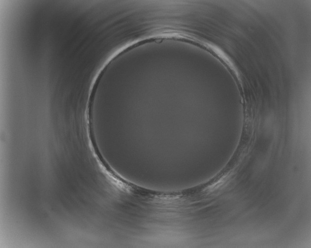 X0000071780951200607071426