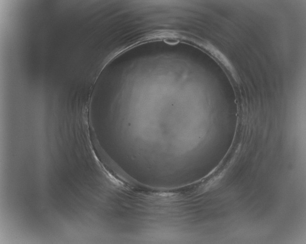 X0000071780953200607071426