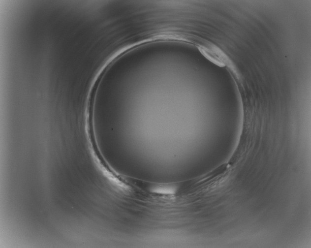 X0000071780955200607071426