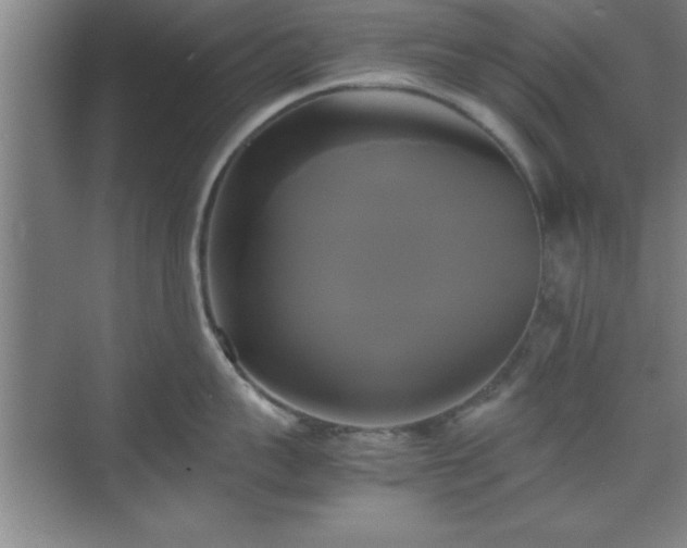 X0000071780959200607071426