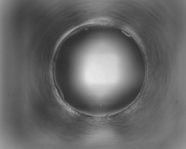 X0000071780960200607071426