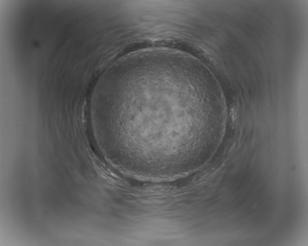 X0000071780963200607071425