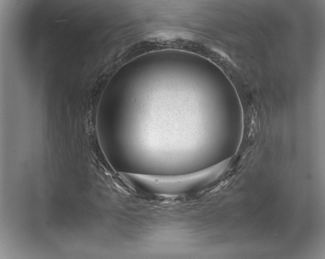 X0000071780965200607071425