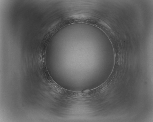 X0000071780966200607071425