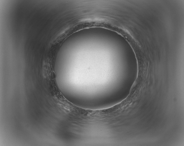 X0000071780967200607071425