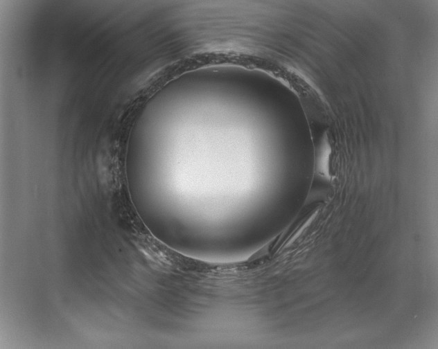 X0000071780968200607071425