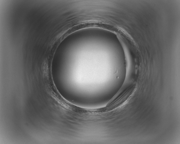 X0000071780969200607071425