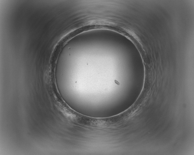 X0000071780971200607071425