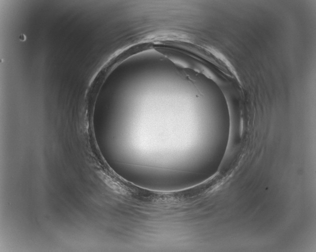 X0000071780973200607071425