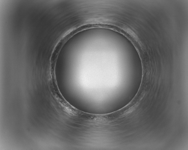 X0000071780974200607071425