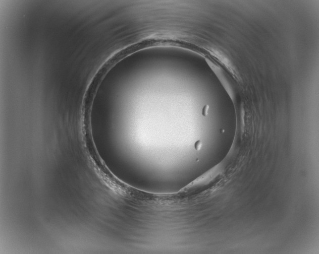 X0000071780976200607071425