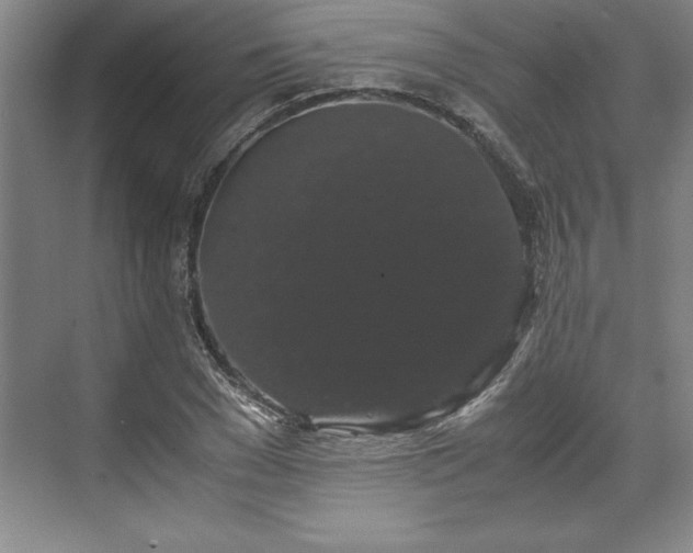 X0000071780977200607071425