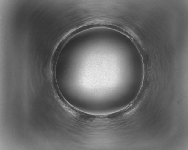 X0000071780981200607071425