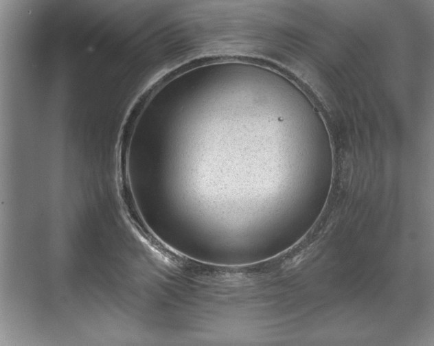 X0000071780982200607071425