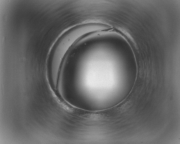 X0000071780984200607071425