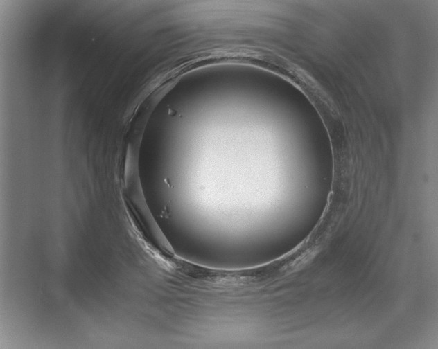 X0000071780985200607071425