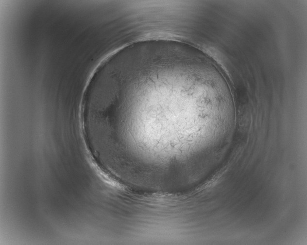 X0000071780987200607071425