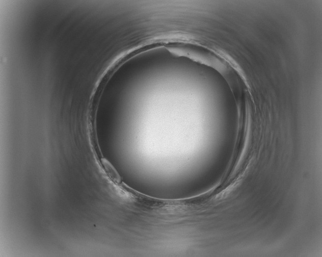 X0000071780989200607071425