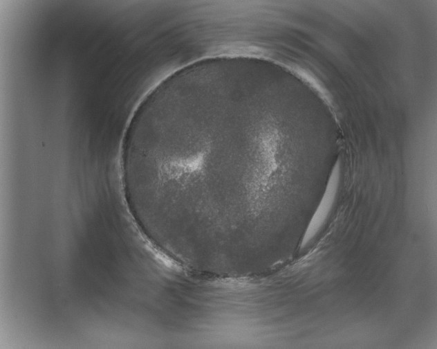 X0000071780990200607071425