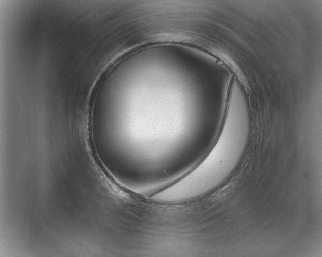 X0000071780992200607071425