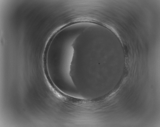 X0000071780995200607071425