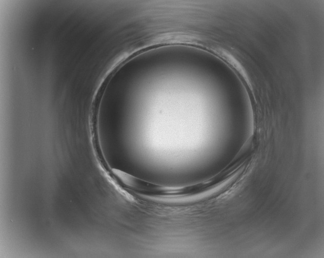 X0000071780997200607071425